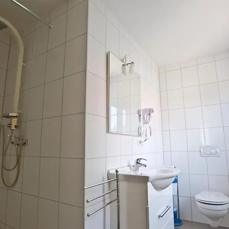 Hirsch * Waldstetten (Ostalbkreis)