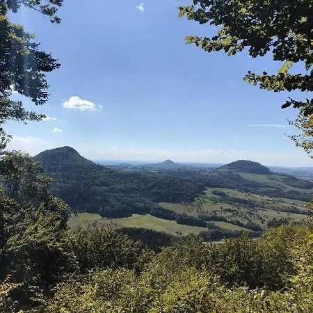 Hirsch * Waldstetten (Ostalbkreis)